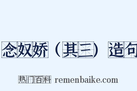 念奴娇（其三)造句是什么意思的图片